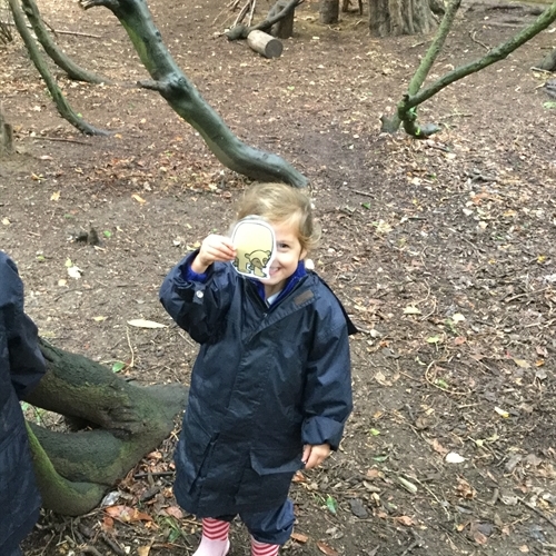 Dens, crafts and collaboration for our intrepid Woodland Explorers