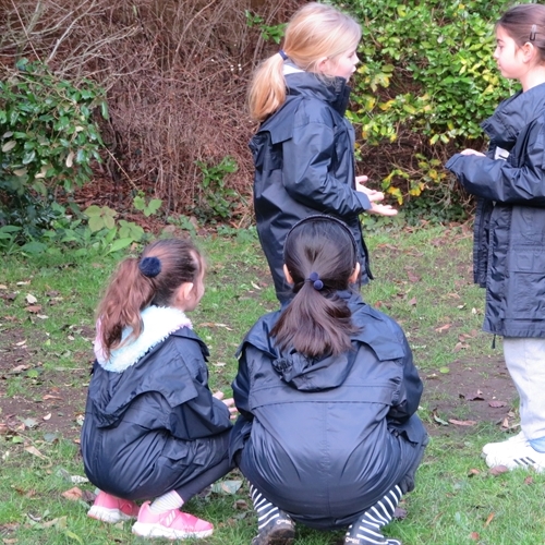 Year 3 and 4 explore the great outdoors!