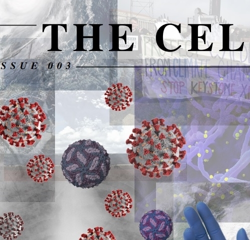 Student-produced medical magazine, The Cell, is published
