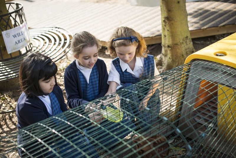 Forest School comes to St Mary's School, Cambridge
