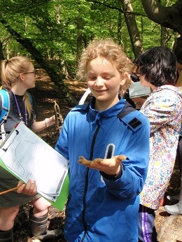 Year 7 learn about rivers and water cycles at the Epping Forest Field Study Centre