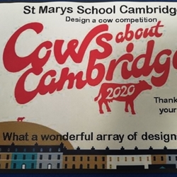 Cows about Cambridge design competition entries 2019