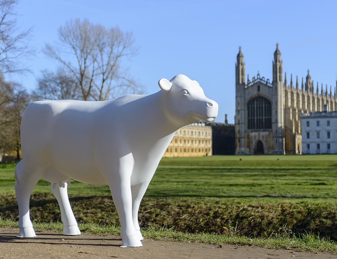 Large cow sculpture