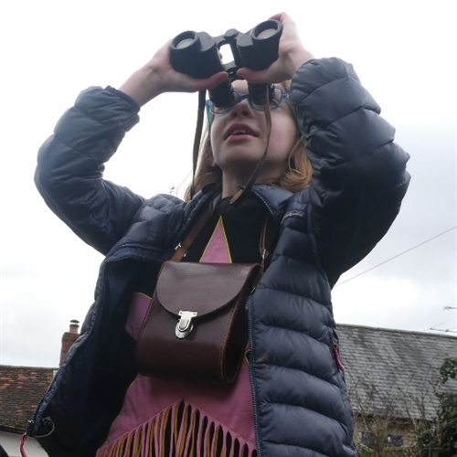 Year 5 take part in the RSPB's Big Schools Bird Watch