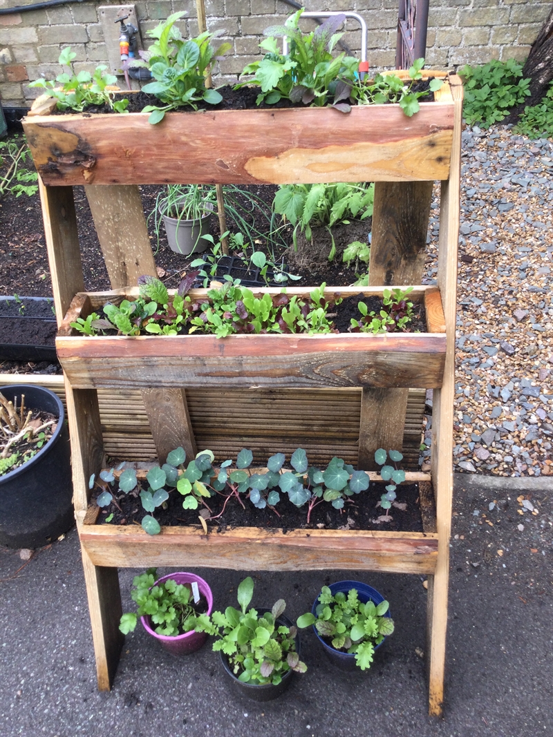 Growing girls with green fingers for National Gardening Week