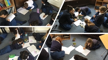 Year 3 investigate the importance of the elements in nurturing living things