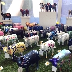 St Mary's School creates moo-vellous mini mâché moo herd!