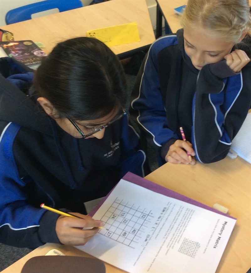 Mathematics in the Junior School