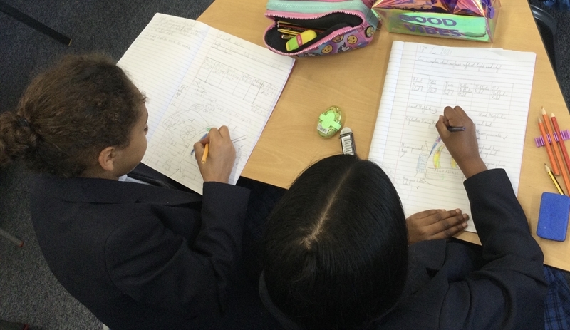 Year 3 study the climate of rainforests across the world
