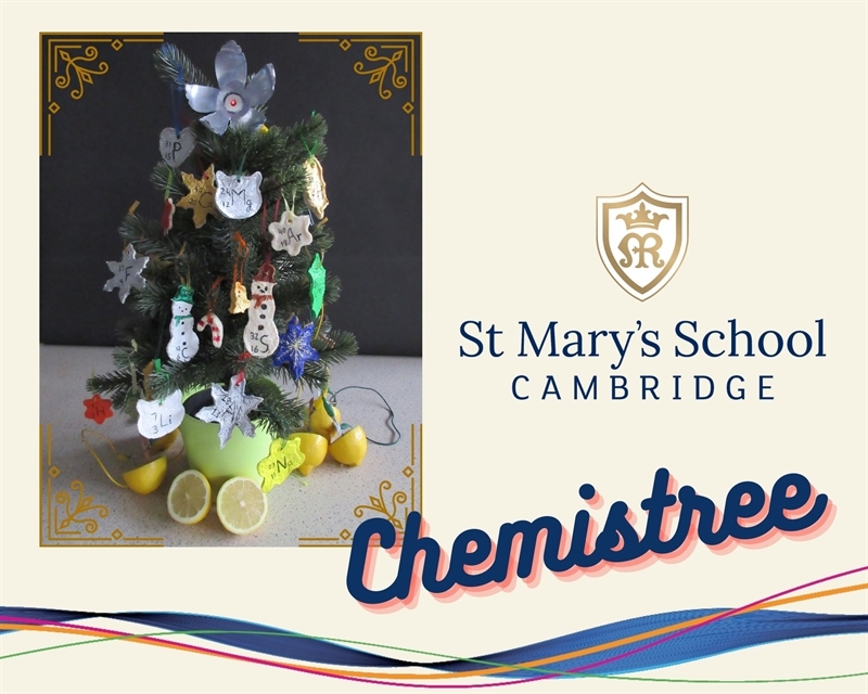 St Mary's students take part in Royal Society of Chemistry's 'chemistree' challenge