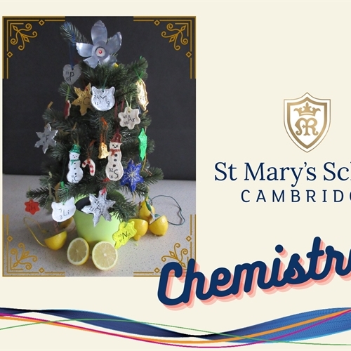 St Mary's students take part in Royal Society of Chemistry's 'chemistree' challenge
