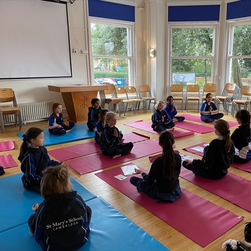 St Mary’s School marks Children’s Mental Health Week