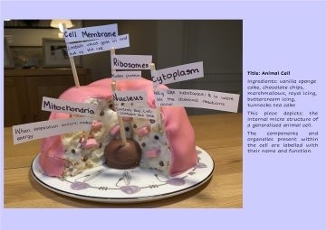 Year 8 student’s sponge cake animal cell shortlisted in Royal Society of Biology BioArtAttack national competition