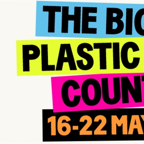 The Big Plastic Count