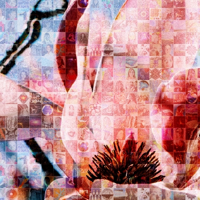 Magnolian 2021/22 - our Annual Review, is now published!