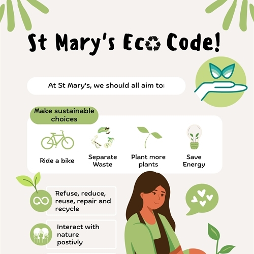 St Mary’s School awarded highest Eco-Schools Green Flag award