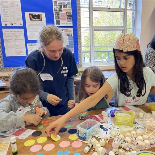 St Mary’s students share their love of science at Big Biology Day 2022