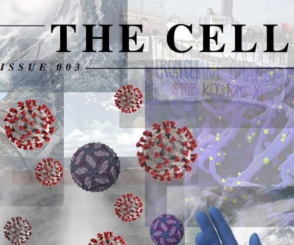 Student-produced medical magazine, The Cell, is published