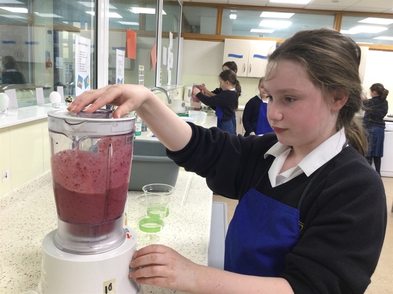 Year 6 turn up the heat in their Leiths cookery lessons