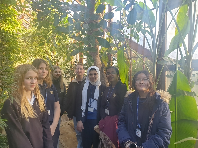 An 'eco' lunch to explore plants and climate change trail