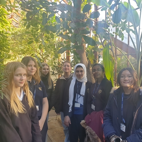 An 'eco' lunch to explore plants and climate change trail