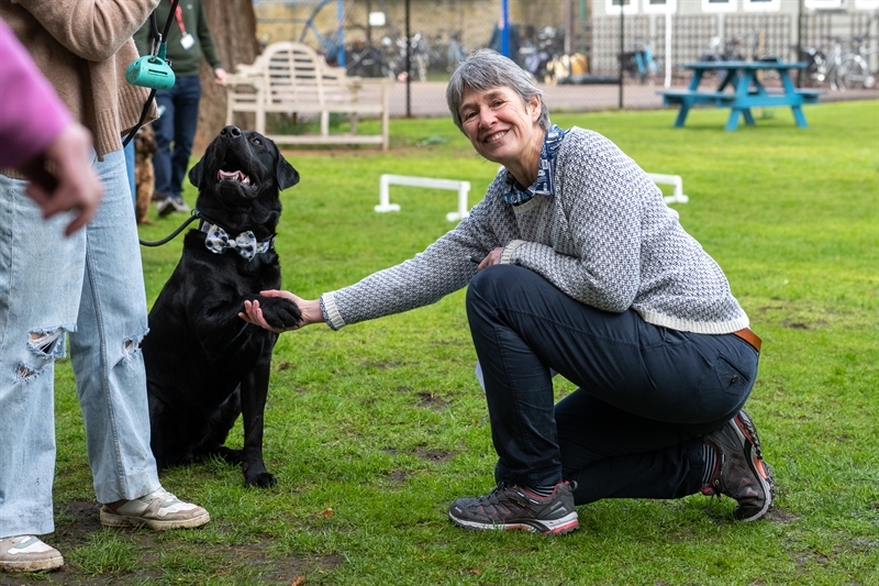 Lourdes fundraising fortnight brings out top dogs and dodgeball