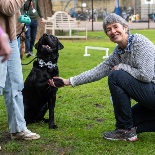 Lourdes fundraising fortnight brings out top dogs and dodgeball