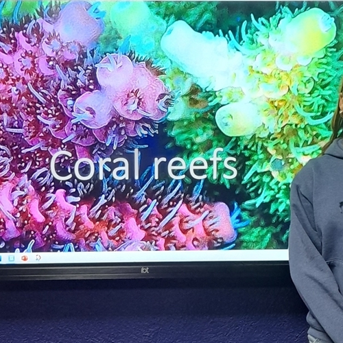 Taking a STEP towards protecting coral reefs