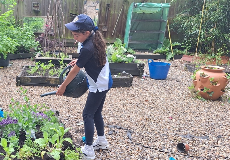 Lessons in the great outdoors are a breath of fresh air on Outdoor Classroom Day