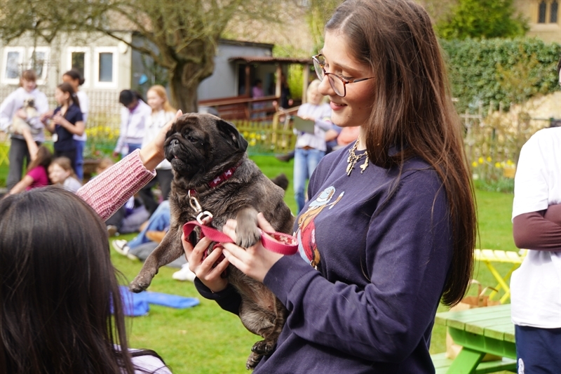 Student-Led Charity: St Mary's Students Organise Events for Lourdes Initiative