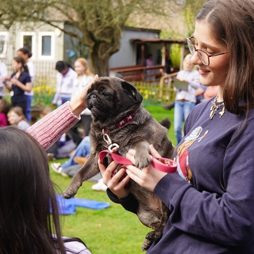 Student-Led Charity: St Mary's Students Organise Events for Lourdes Initiative