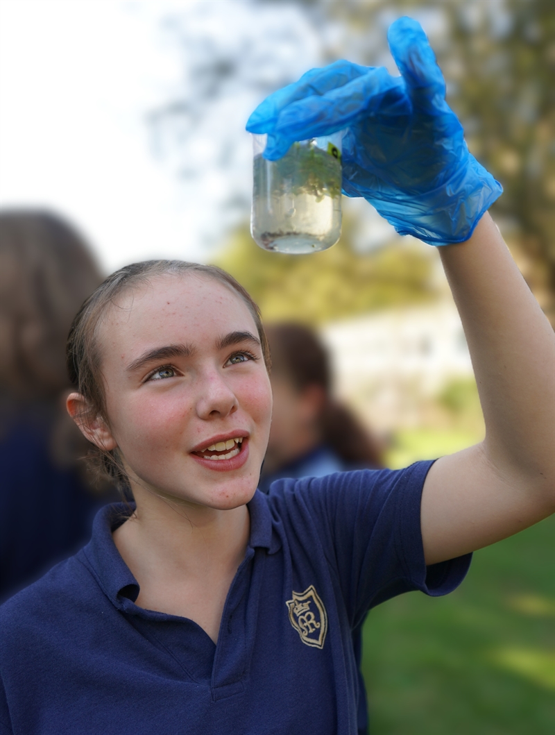 Exploring Ecology on the Doorstep