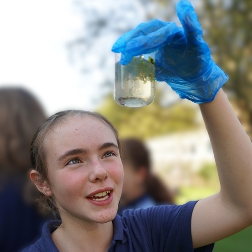 Exploring Ecology on the Doorstep