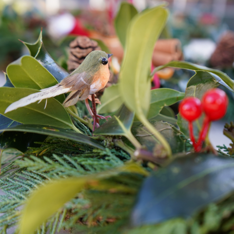 Senior School Christmas Roundup 2025