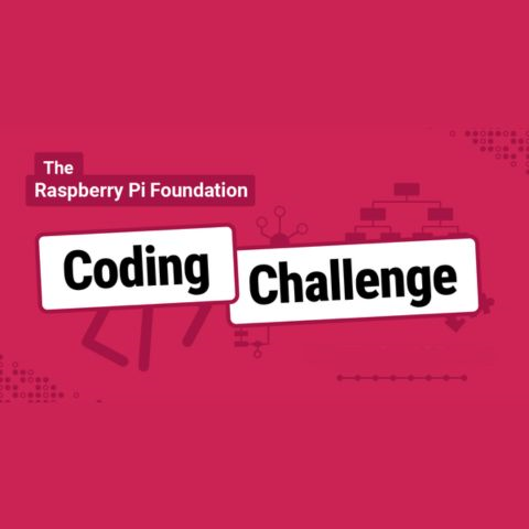 Junior School girls win Distinction and Merit awards in the Bebras Coding Challenge 2026