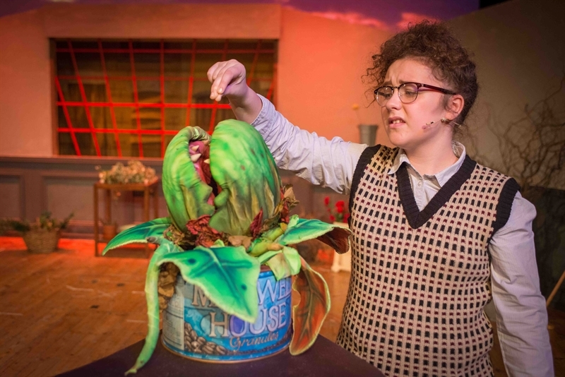 Little Shop of Horrors