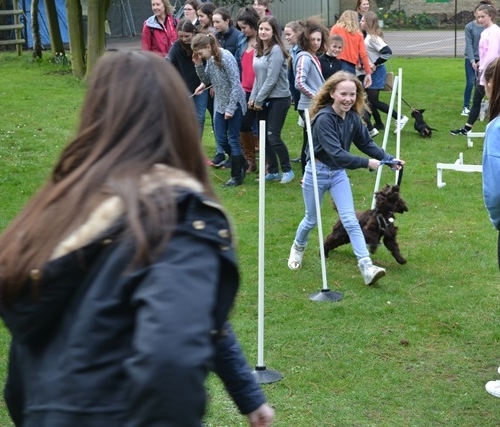 Lourdes Fundraising Fortnight