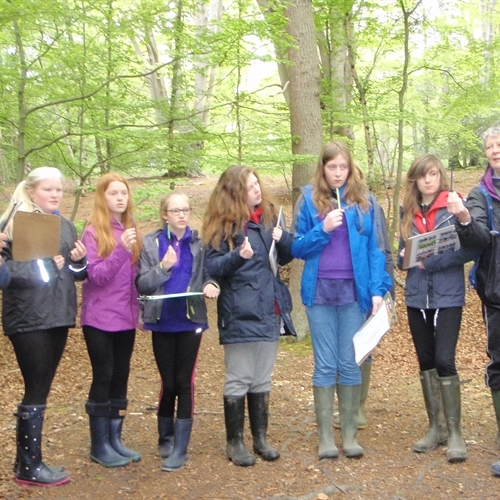 Year 7 Geography students head to Epping Forest