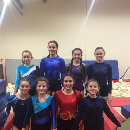 Gymnastics pursuits for Senior School girls