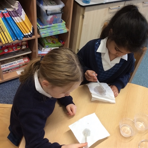 Science experiment leads to enquiry