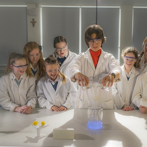 Why do so few girls study STEM subjects?