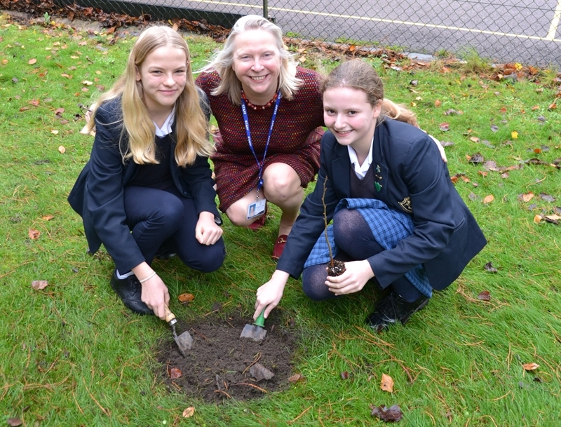 Eco Councils plant saplings for National Tree Week