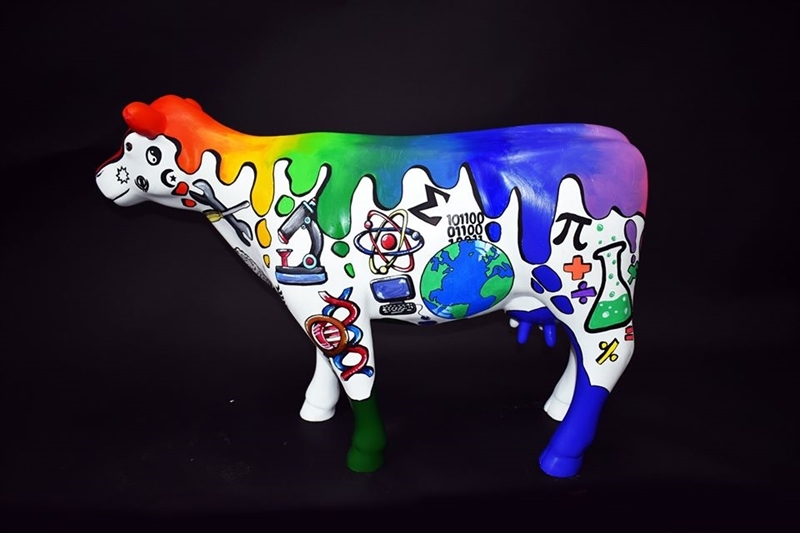 Cows about Cambridge: our 'Mini Moo' is revealed