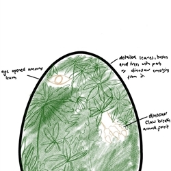 Mazzasaurus the Jurassic egg