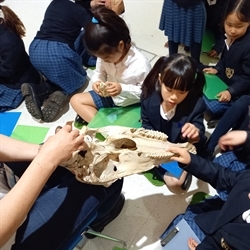 Year 3 visit to The Museum of Zoology, November 2023